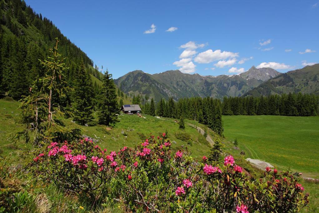 Naturhotel Huettenwirt Im Grossarltal Huttschlag Exterior photo